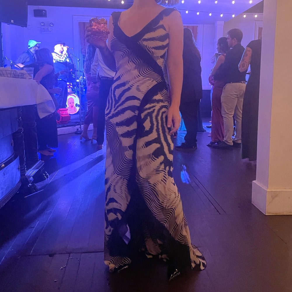 🐅 Vintage CACHE Silk Gown